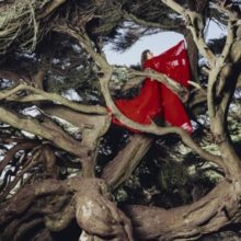 HANNAH FRANCES - Nested In Tangles (Ruby Red Vinyl) Carousel 1