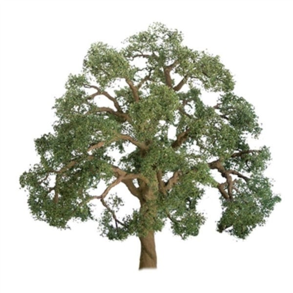 Model Scenery - 50mm Live Oak (3) Carousel 1