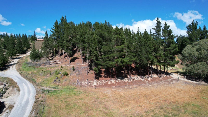 Lifestyle Section Minutes from Alexandra64680303620609113