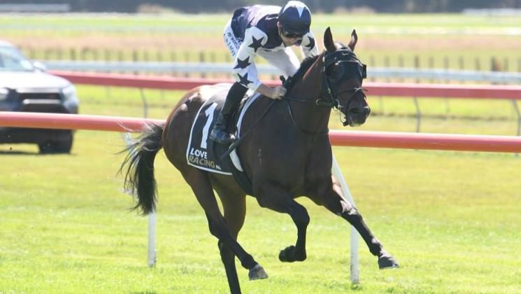 HOLLIE WYNYARD RACING Carousel 2