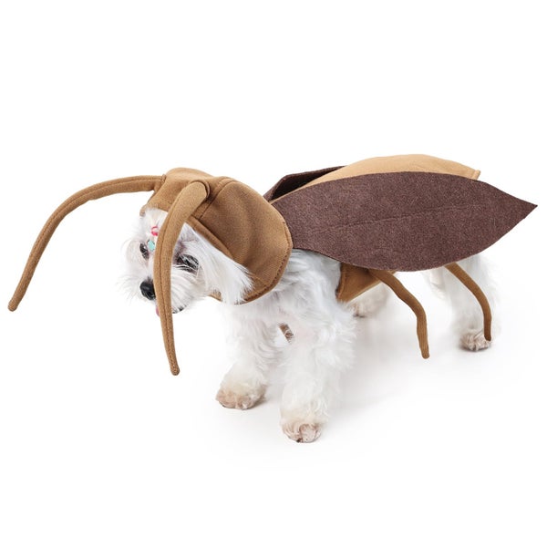 Funny Cockroach Costume for Small Dogs & Cats,Halloween Party Pet Festival Carousel 2