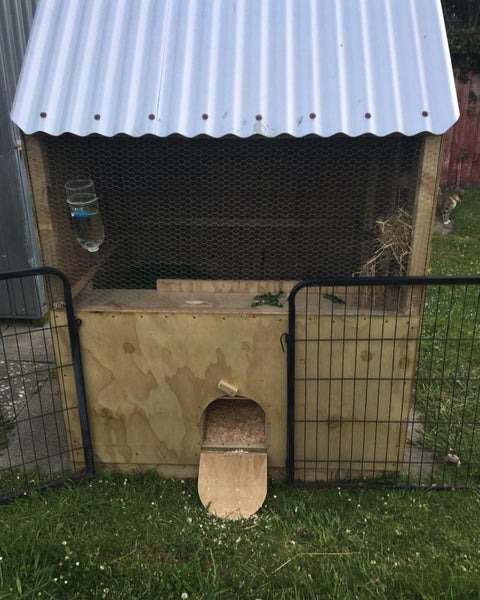 Large Rabbit house Carousel 2