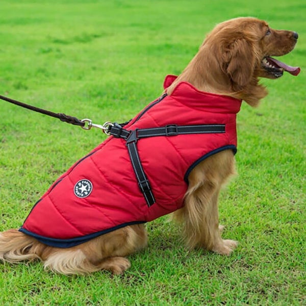 Winter Pet Dog Coat Pet Dog Jacket w/ Harness Waterproof Breathable -Blue Carousel 3
