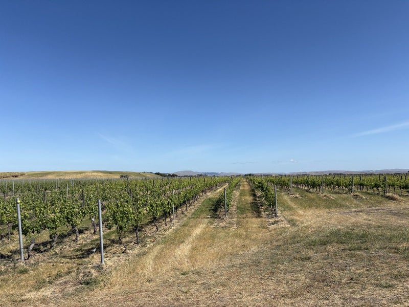 Fernhill, 4 bedrooms64614626032770113