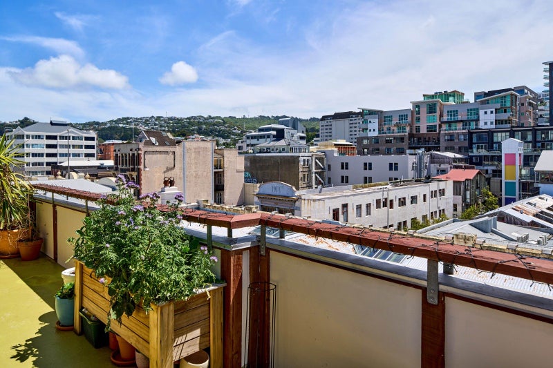 Wellington's best CBD investment secret!64614725037314112