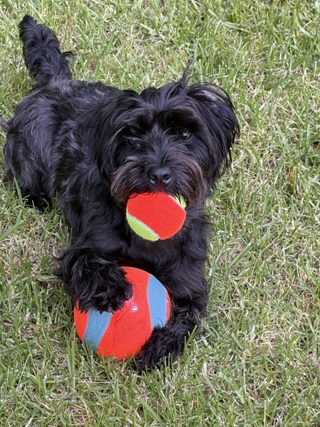 Freemans Bay, 2 bedrooms64615749208451110