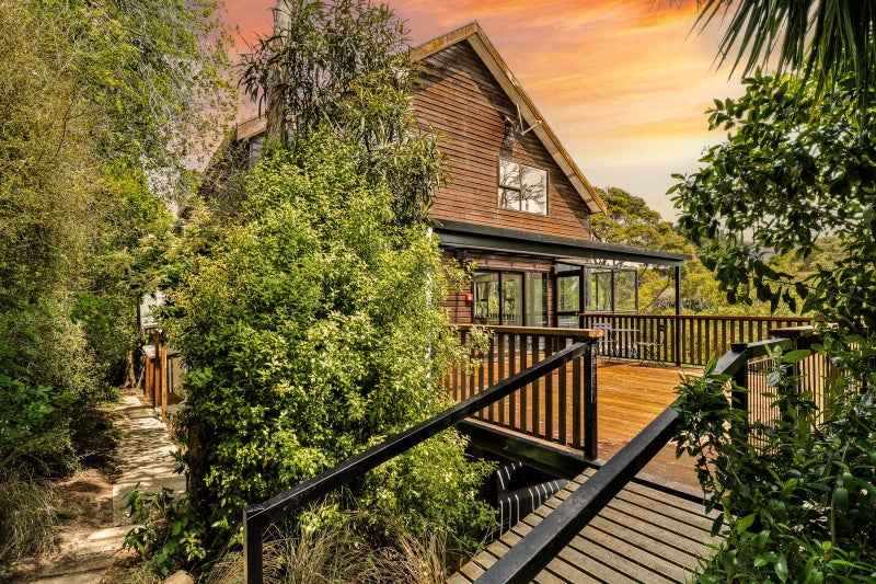 Sunlit Sanctuary in the Treetops64694096187010114