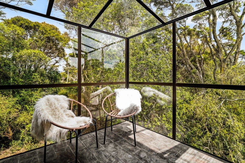 Sunlit Sanctuary in the Treetops64694096187010113