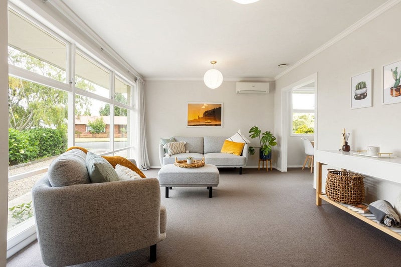 Kiwi As With A European Twist64617205389569113