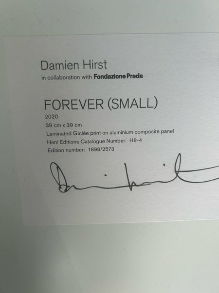 Damien Hirst Art Carousel 3