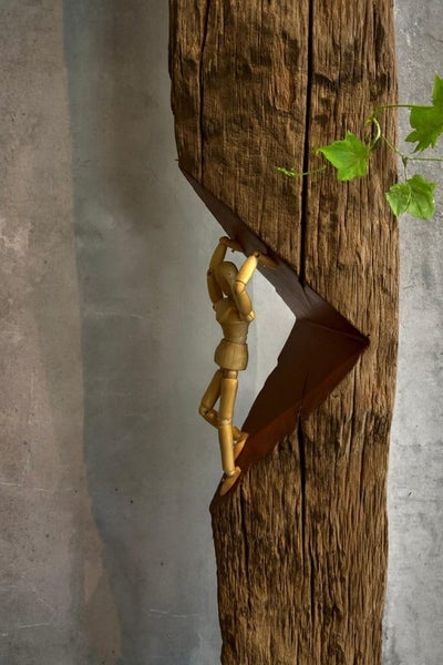 "RESCUE OUR MEMORY" - NZ TOTARA SCULPTURE Carousel 1