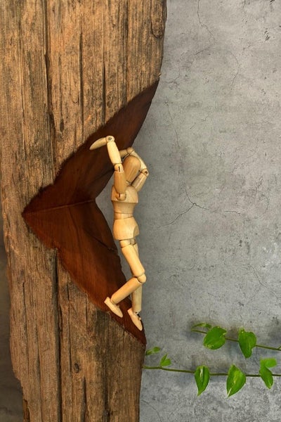 "RESCUE OUR MEMORY" - NZ TOTARA SCULPTURE Carousel 2