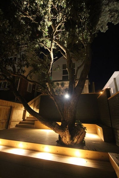 Mount Cook, 4 bedrooms64619771868675114