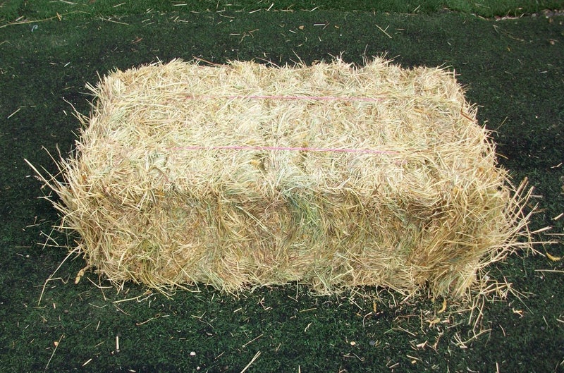 HAY, STANDARD HAY BALES, FEED, HORSE FEED Carousel 1