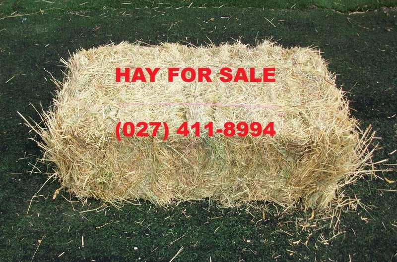 HAY, STANDARD HAY BALES, FEED, HORSE FEED Carousel 2