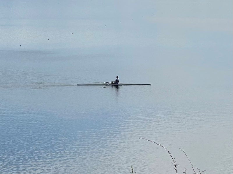 Takapuna, 3 bedrooms64624798236035113