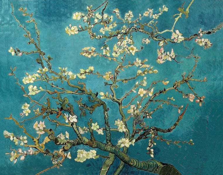 Framed $1 RESERVE 1 Panel Canvas Art Print - Almond-Blossoms by Van Gogh Carousel 1