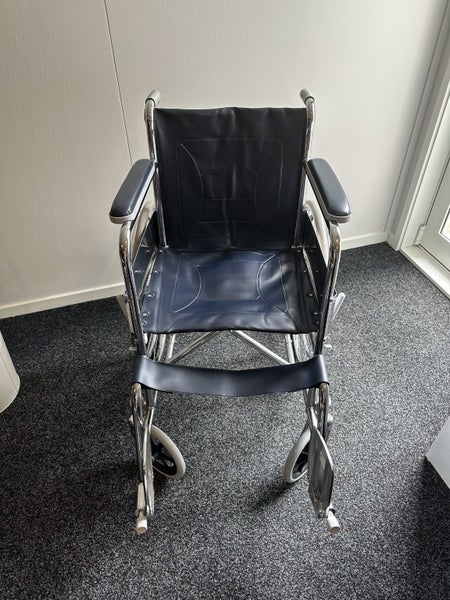 Wagner Budget Wheelchair Carousel 1