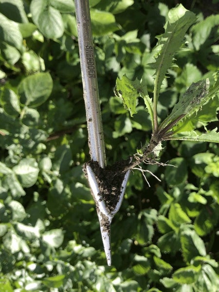 Sneeboer Wrotter Carousel 3