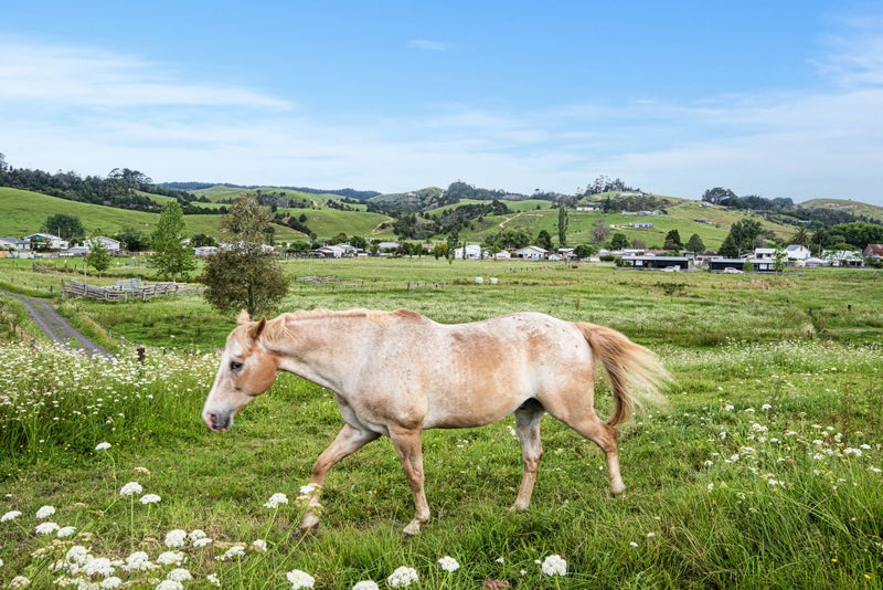 Where the Country meets future growth!64627476573315112