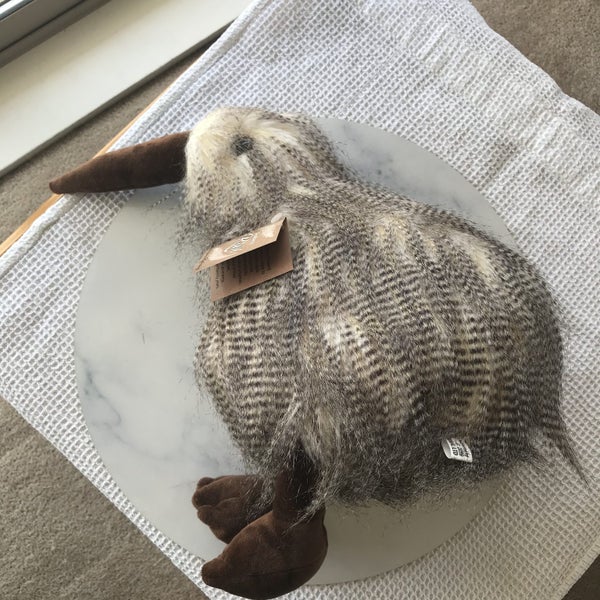 KIWI BIRD :: Brand NEW :: XMAS Gift :: Feathers Galore :: $$1-00 RES64629032642051113