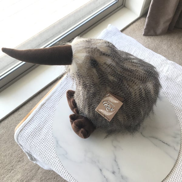 KIWI BIRD :: Brand NEW :: XMAS Gift :: Feathers Galore :: $$1-00 RES64629032642051110