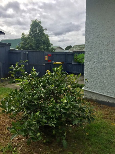 Pukekohe, 2 bedrooms64629258642561112