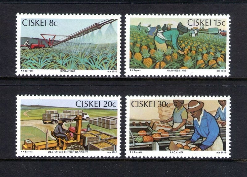 Ciskei - 1982 Pineapple Industry Set (4) - UHM - 26/9 Carousel 1