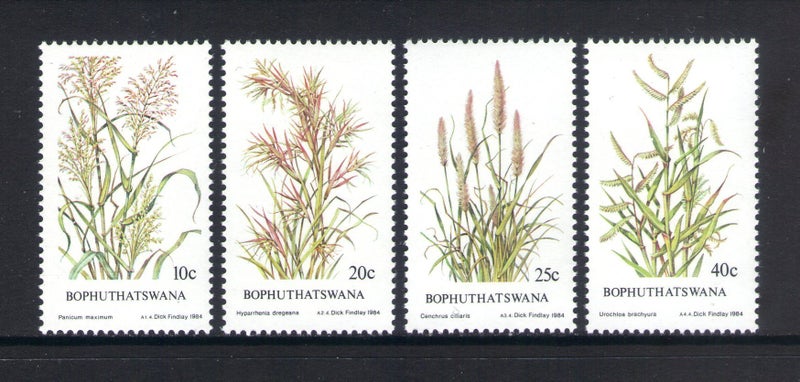 Bophuthatswana - 1984 Grasses Set (4) - UHM - 116/9 Carousel 1