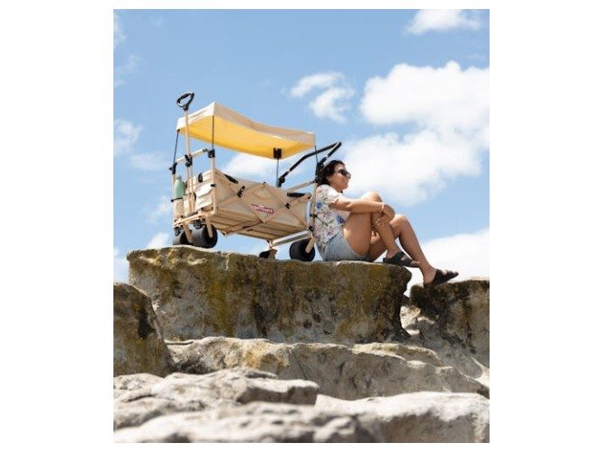 Mighty Carts Safari Beach Cart with Awning Carousel 17