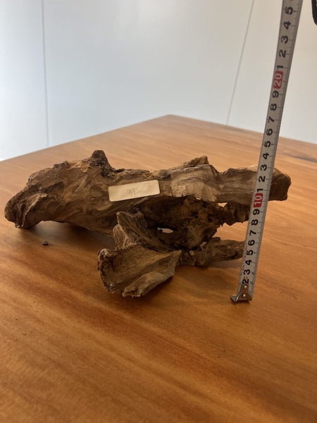 Old-Stock Fiji Sandalwood (Tan Xiang) — Aromatic Root Ornament64637638434051114