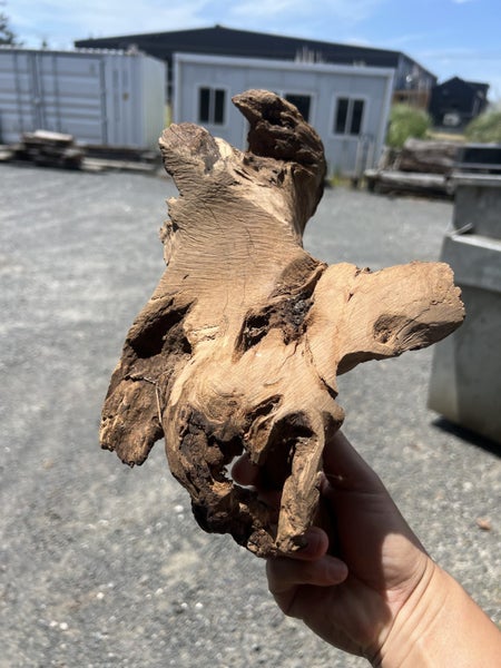 Old-Stock Fiji Sandalwood (Tan Xiang) — Aromatic Root Ornament64637638434051110