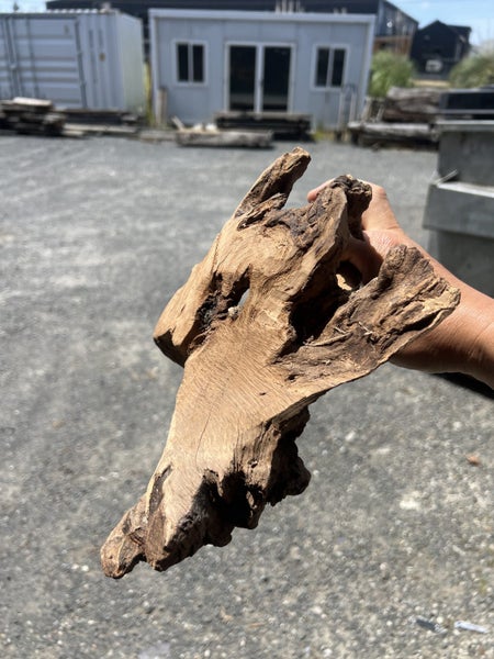 Old-Stock Fiji Sandalwood (Tan Xiang) — Aromatic Root Ornament64637638434051112