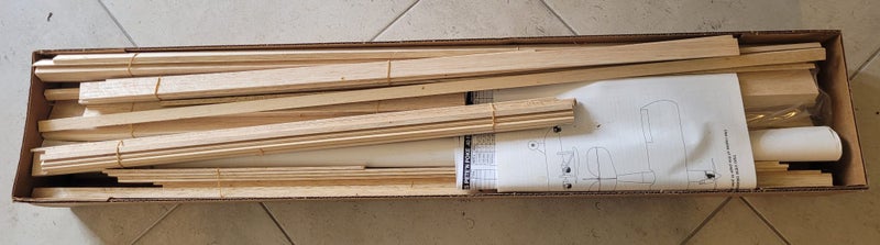 Great Planes Pete n poke Carousel 2