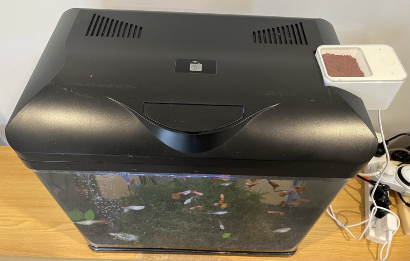 Fish Tank & Guppies64779635558275111