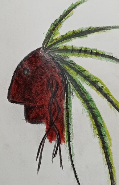 Holographic's64713538384258111