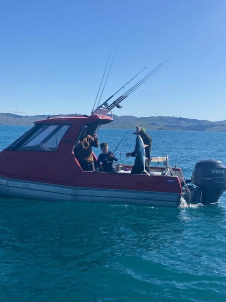 Stabicraft 6m Carousel 2