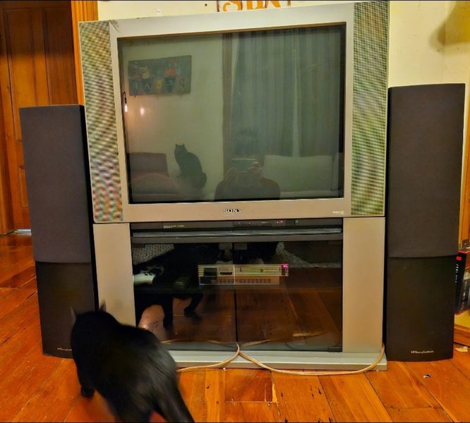 Sony Trinitron 34" CRT Carousel 2