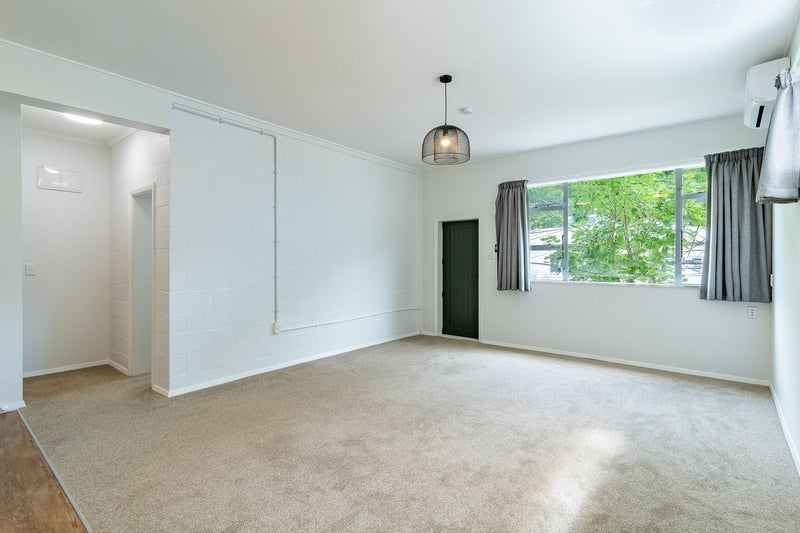 Aro Valley, 1 bedroom64648492522753111