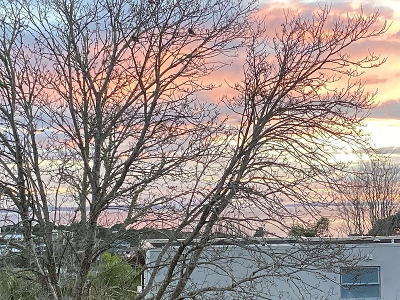 Castor Bay, 4 bedrooms64648695471105110