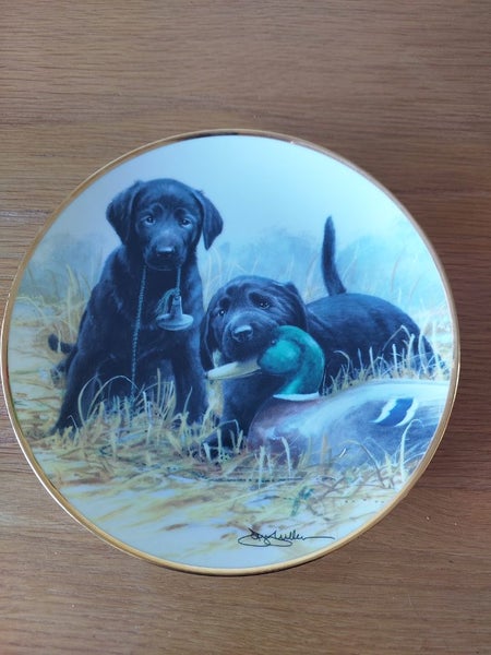 Black Labrador Puppies withDuck Decoy Carousel 1