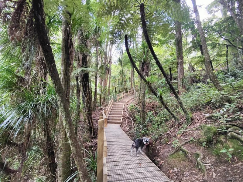 Birkenhead, 3 bedrooms64649026911362114