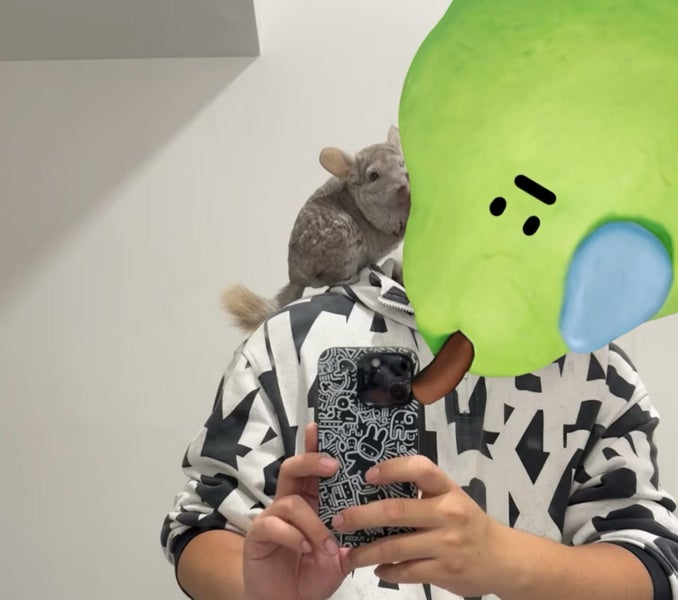 Chinchillas, enclosure & accessories Carousel 8