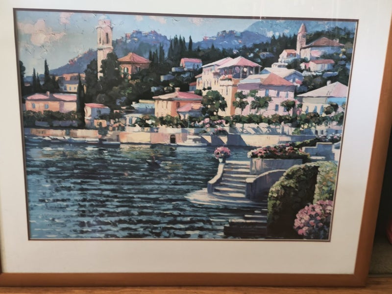 Three Large Prints in Nice frames with glass Buy ALL or just one ..you chose Carousel 2