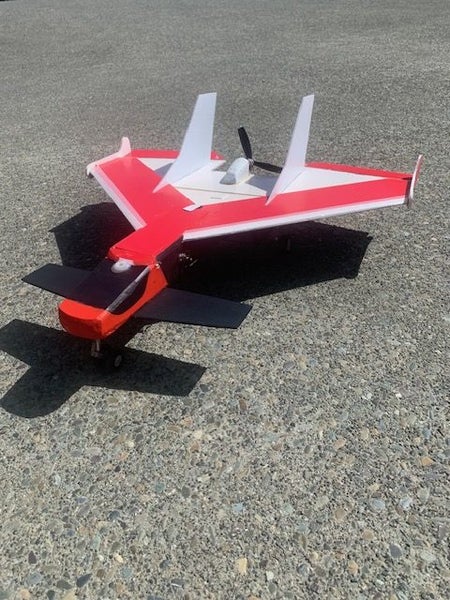 Pusher Canard Delta Carousel 1