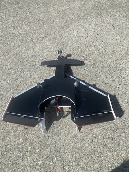 Pusher Canard Delta Carousel 3