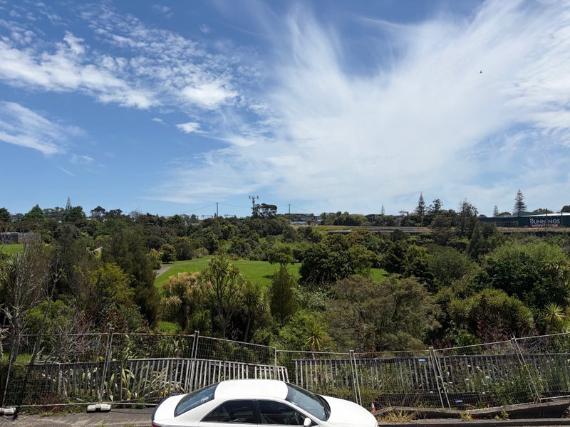 New Lynn, 3 bedrooms64652394818690110