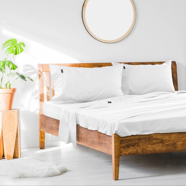 1000Tc Cotton Rich Sheet Set King Single - White Carousel 2