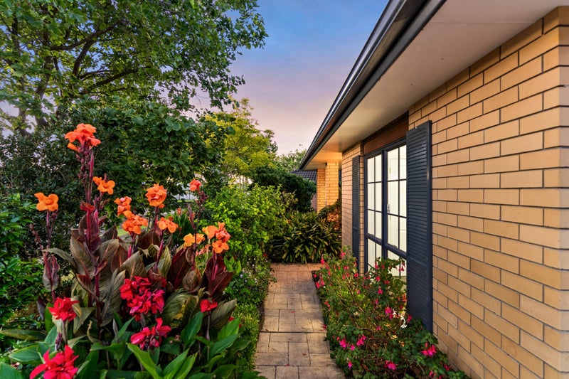 SECRET GARDEN GEM! SINGLE-LEVEL SUPERSTAR64659284274947111