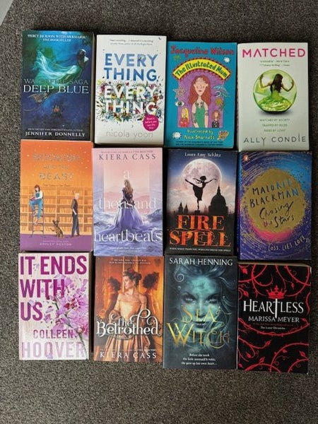 Collection of Y/A Books Carousel 1